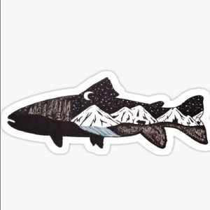 Meet your Posher, Sam